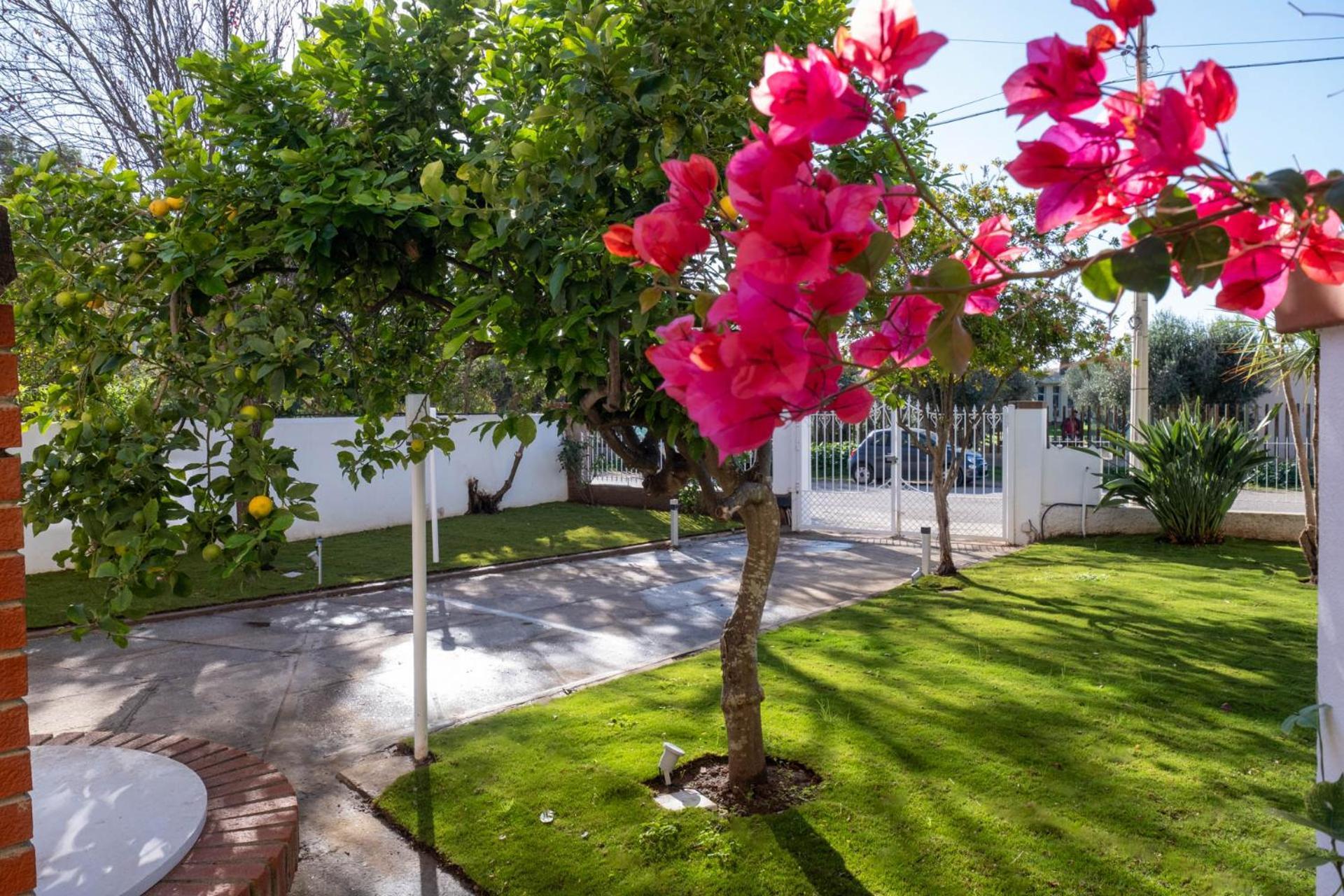 Nautika Suites Alguer Exterior foto